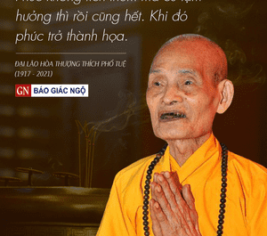 Đọc và ngẫm về các pháp ngữ của Đức Đệ tam Pháp chủ GHPGVN - Đại lão Hòa thượng Thích Phổ Tuệ