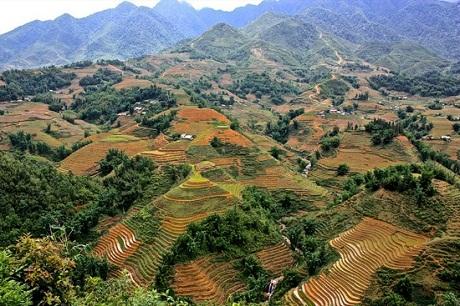 Núi rừng Hà Giang