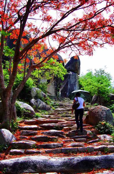 Vãn cảnh Linh Phong- ngôi chùa cổ ở Bình Định - 5