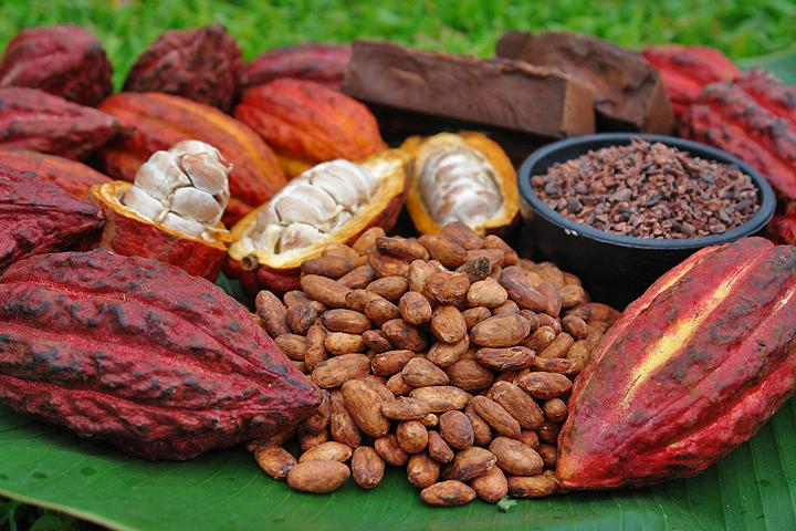 Cacao.jpeg