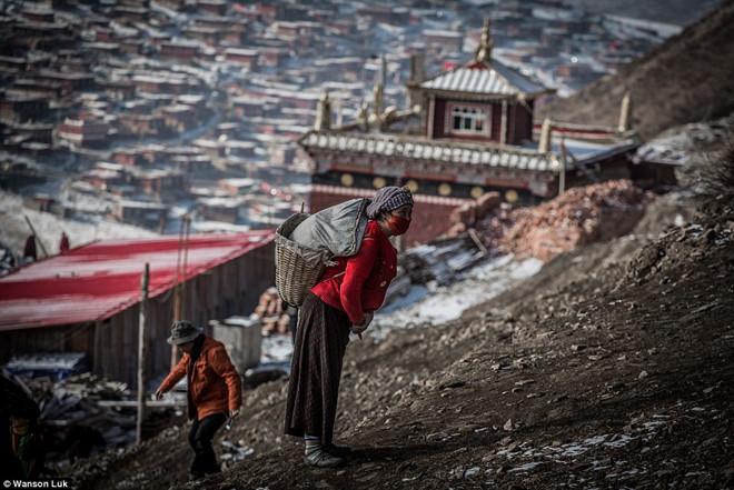 Ngoài văn hóa tâm linh, Học viện Phật giáo Tây Tạng còn giảng dạy tiếng Anh, tiếng Hoa, tiếng Tây Tạng, tin học. Mỗi năm có khoảng 1.000 ngôi nhà mái đỏ mới được xây bởi các vị sư ở thung lũng.
