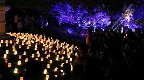 Bắt đầu từ năm 1999, lễ hội hoa đăng Nara chính thức được tổ chức. Trong lễ hội, 20.000 ngọn nến sẽ được thắp sáng xuyên suốt 10 ngày cho đến lễ Obon. Các địa điểm được thắp sáng bởi ánh nến là chùa Todaiji, đền Kasuga Taisha và công viên Nara.