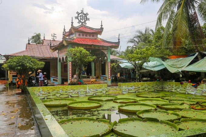 Ngôi chùa hơn trăm tuổi cho khách đứng trên lá sen