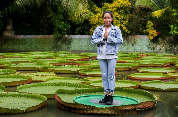 Ngôi chùa hơn trăm tuổi cho khách đứng trên lá sen