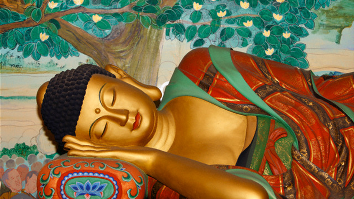 Đức Phật tiêu biểu cho một bậc thánh nhân toàn giác, toàn thiện, toàn mỹ, vì mọi việc làm của Ngài trong suốt 49 năm cứu nhân độ thế đã tỏa sáng trí tuệ tuyệt vời, tình thương bao la và tinh thần bình đẳng tuyệt đối.