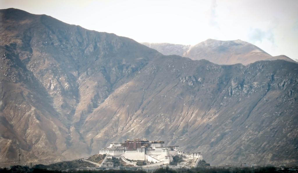 Lhasa.jpeg