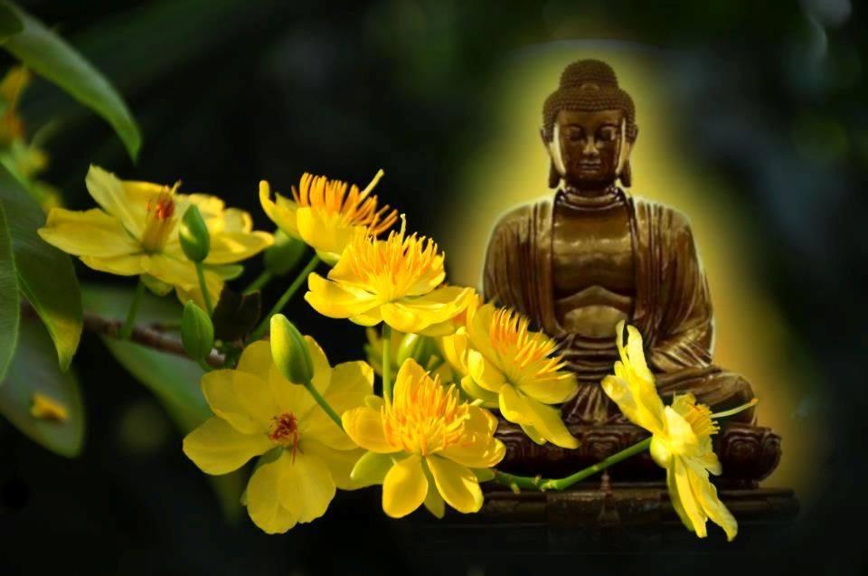 Trên bước đường tu, theo Phật, độ người có duyên thôi, không phải ta độ được người khổ.