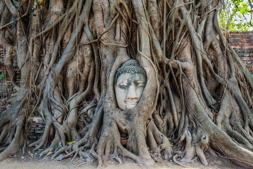 Tượng đầu Phật Ayutthaya