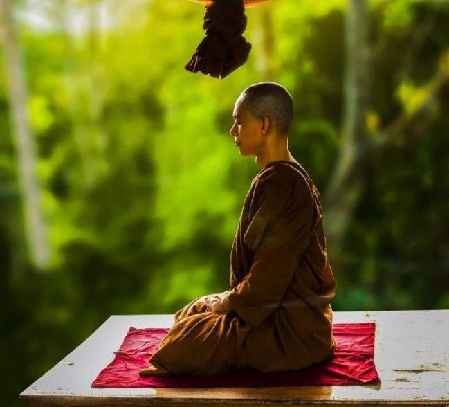 Trong suốt hai ngàn năm trăm năm, sau khi Đức Phật giác ngộ, thiền Vipassana đã được áp dụng và đem lại giải thoát cho hàng ngàn người.