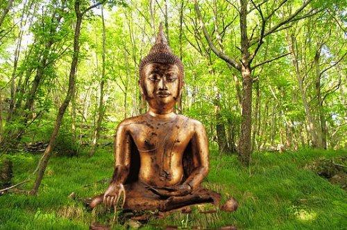 Sự vĩ đại của Phật giáo không chỉ thông qua hình thức về tinh túy của từ bi và trí tuệ được thể hiện qua Giáo lý duyên sinh – vô ngã.
