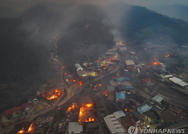 Đám cháy rừng lan rộng ở Uiseong - Ảnh: Yonhap