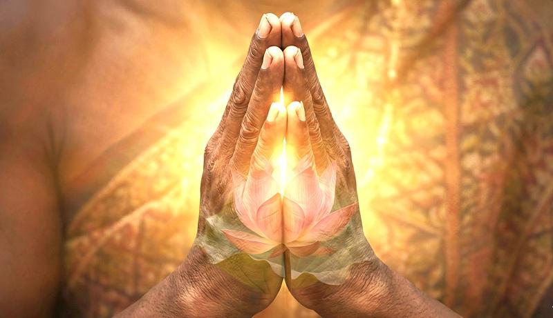 Búp sen của lòng khiêm cung