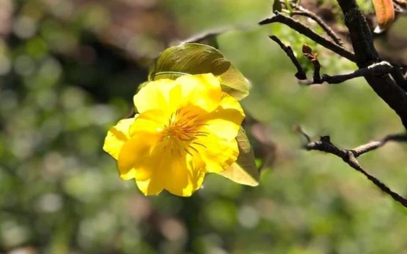 Hình minh họa. Nguồn: Internet