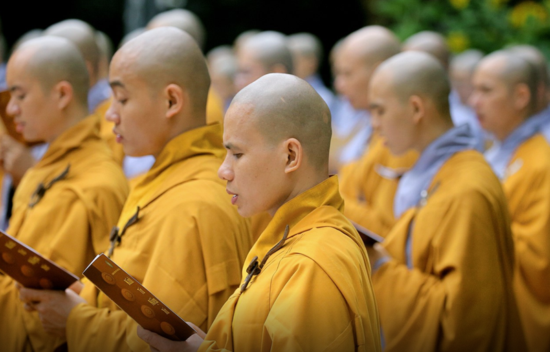 Hình ảnh chỉ mang tính chất minh hoạ (sưu tầm)