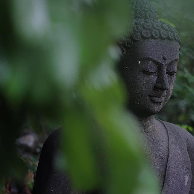 Đức Phật học đạo cũng tìm các nhà tôn sùng thần linh, nhưng Ngài không bằng lòng nhận thức của họ, mới thực tập phương cách của riêng Ngài để không lệ thuộc thần linh Đức Phật học đạo cũng tìm các nhà tôn sùng thần linh, nhưng Ngài không bằng lòng nhận thức của họ, mới thực tập phương cách của riêng Ngài để không lệ thuộc thần linh