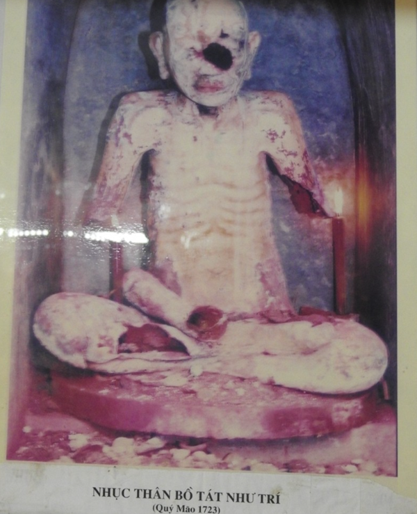 Ảnh sưu tầm.