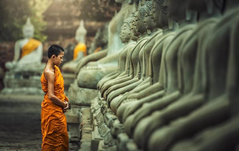 Hình mang tính minh họa. Nguồn: Internet