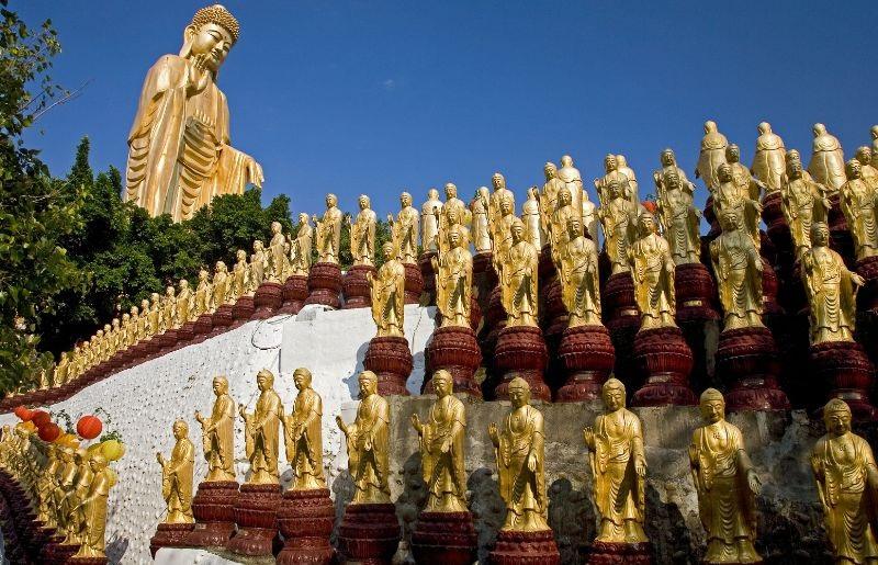 Hình minh họa. Nguồn: Internet