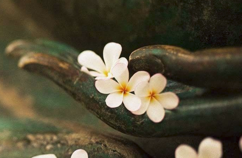 Hình ảnh chỉ mang tính chất minh hoạ (sưu tầm).
