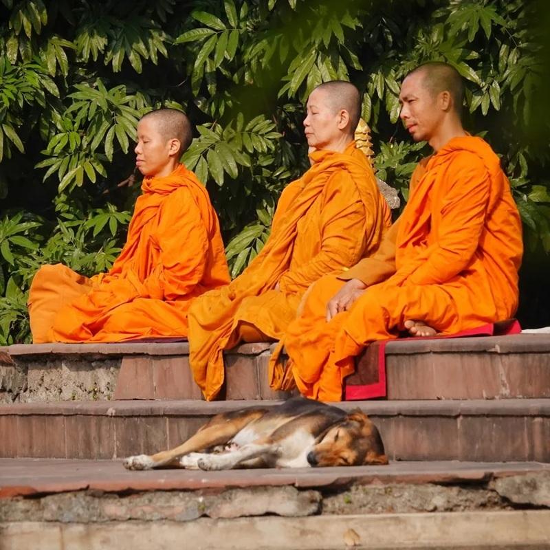 Đời sống xuất ly là mô hình tu tập nguyên thủy | Ảnh do BJ Graff cung cấp