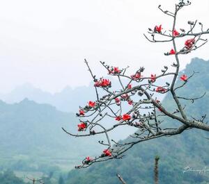 Thơ Xuân của Hoàng đế Trần Nhân Tông