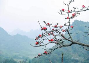 Thơ Xuân của Hoàng đế Trần Nhân Tông